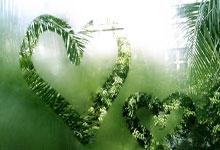 天涯论坛热议海南儋州发展，大家齐心共绘美好蓝图